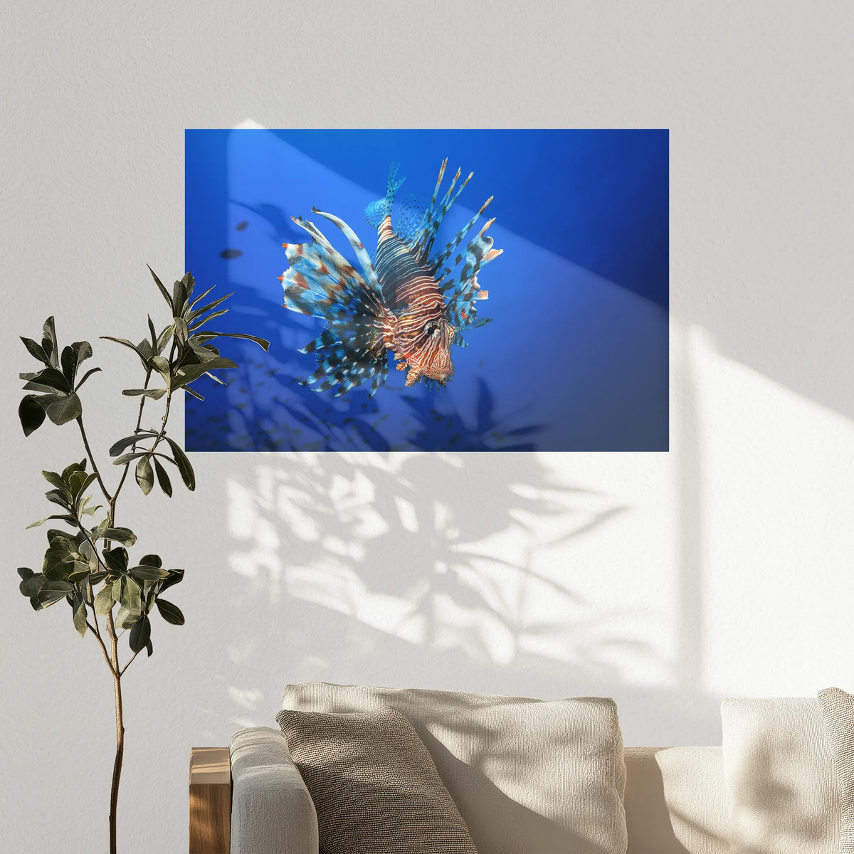 PO-120W080