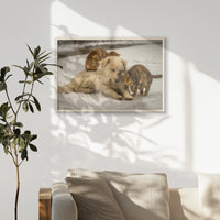 PN-093W062