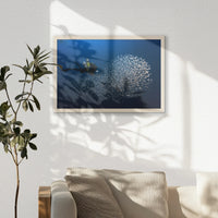 PN-060W040