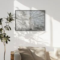 PK-093W062