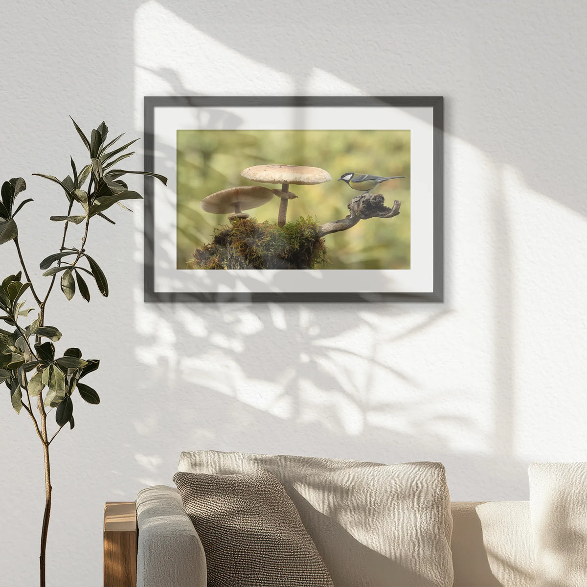 PKP060W040