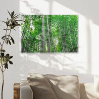 AL-030W020