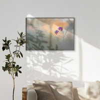 PB-100W070