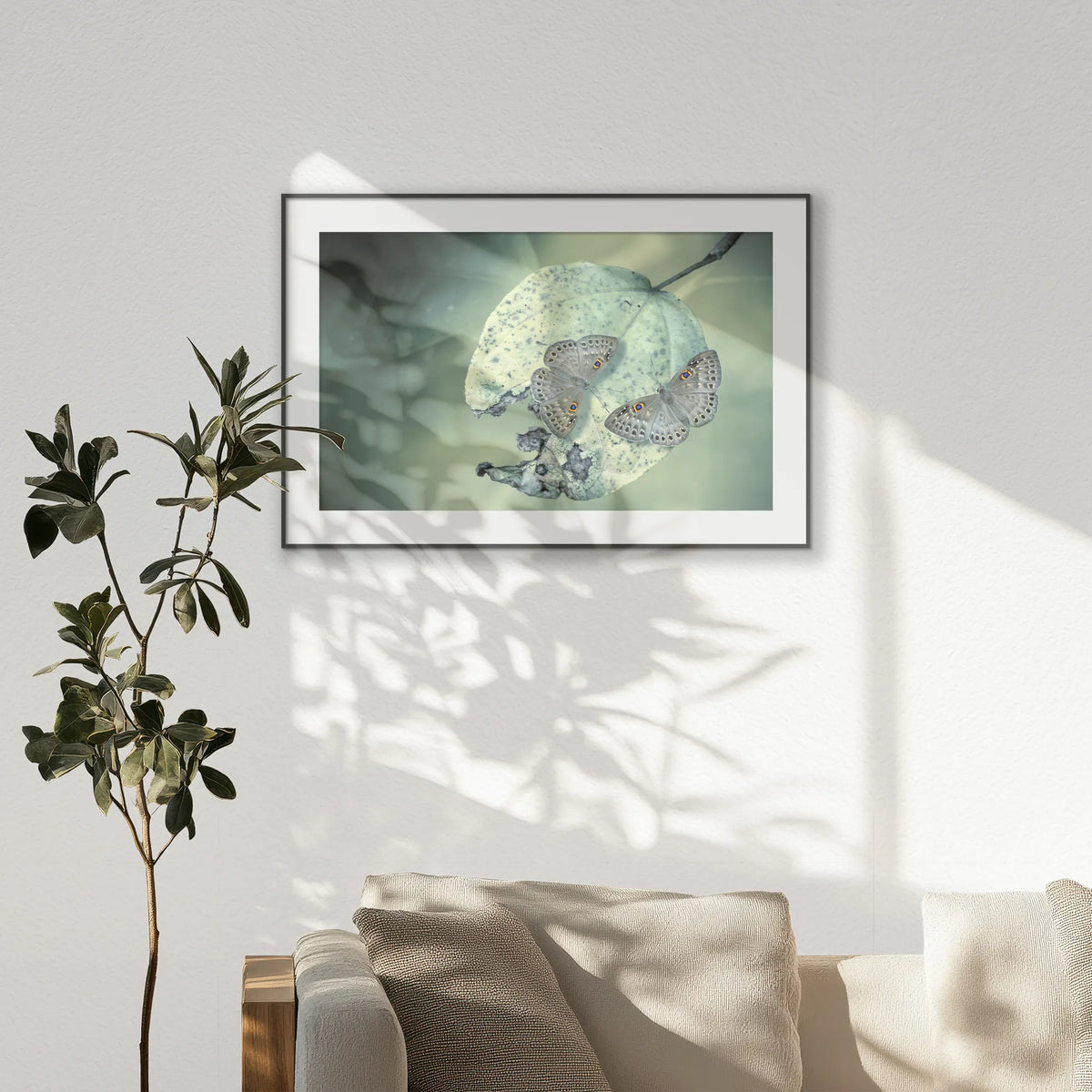 PBP120W080