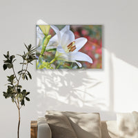 PS-120W080