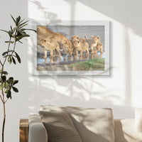 LWW030W020