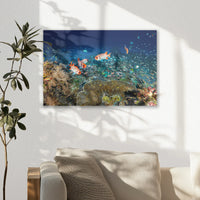 AL-030W020