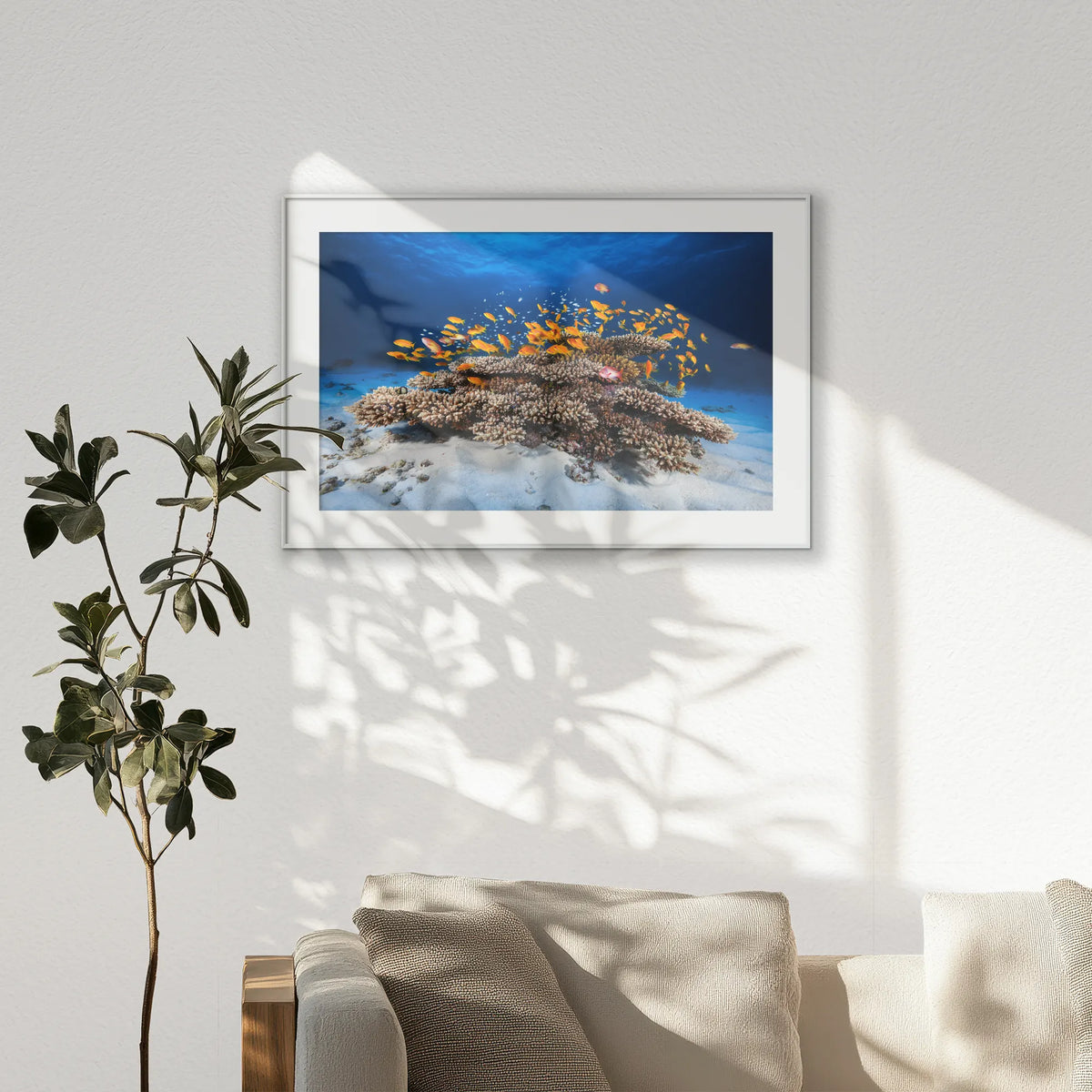 PSP120W080