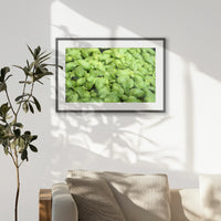 PKP093W062