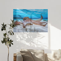 PO-120W080