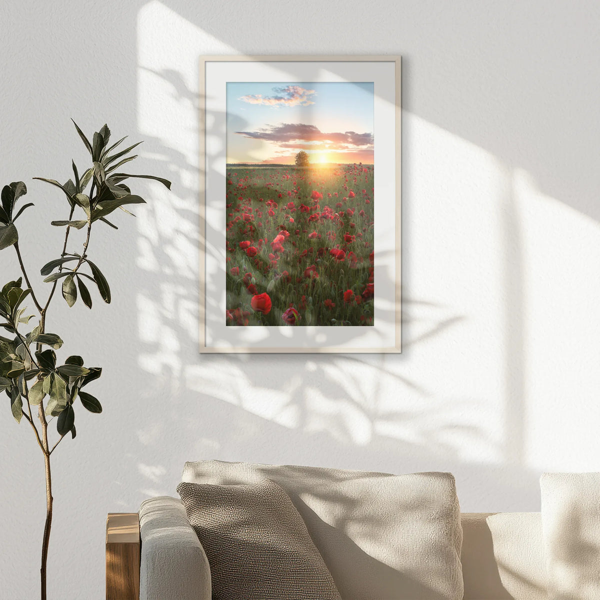 PNP062W093