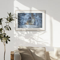 PNP093W062