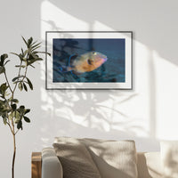 PBP093W062