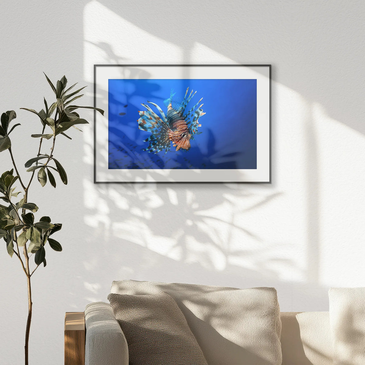PBP093W062