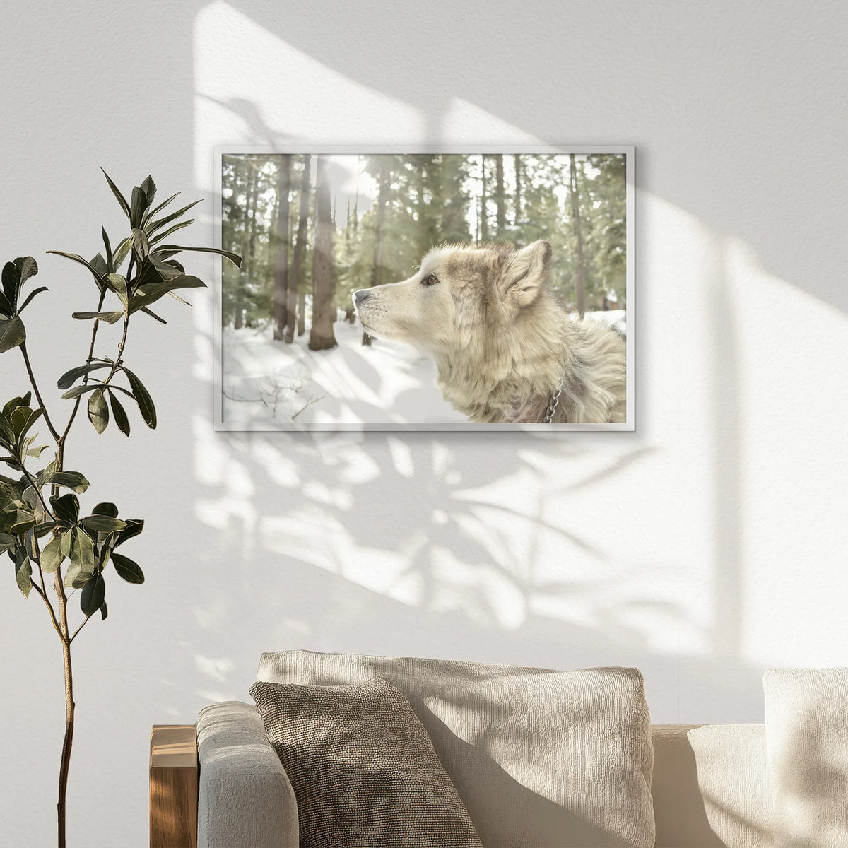 PW-093W062