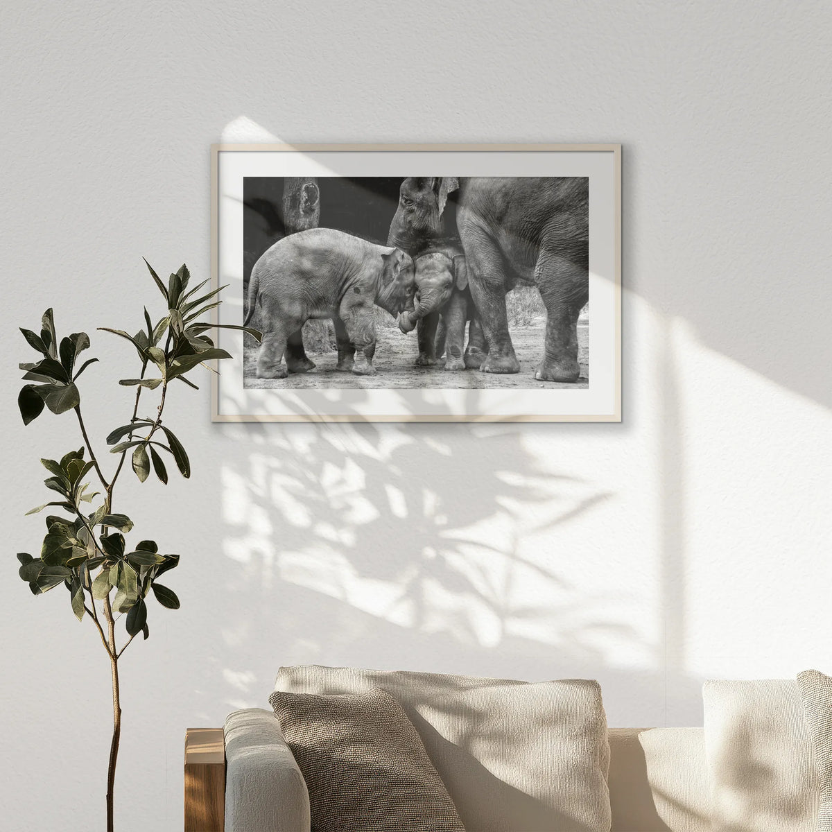 PNP100W070