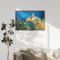 PB-120W080