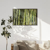 LWN120W080