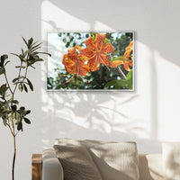 PS-060W040