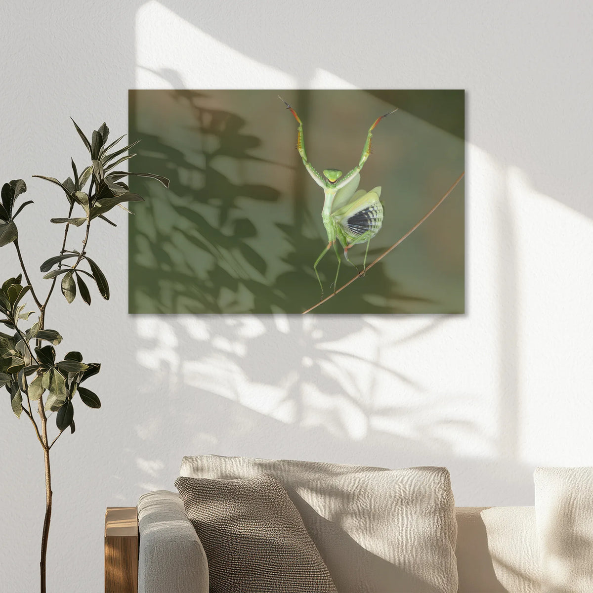 AC-075W050