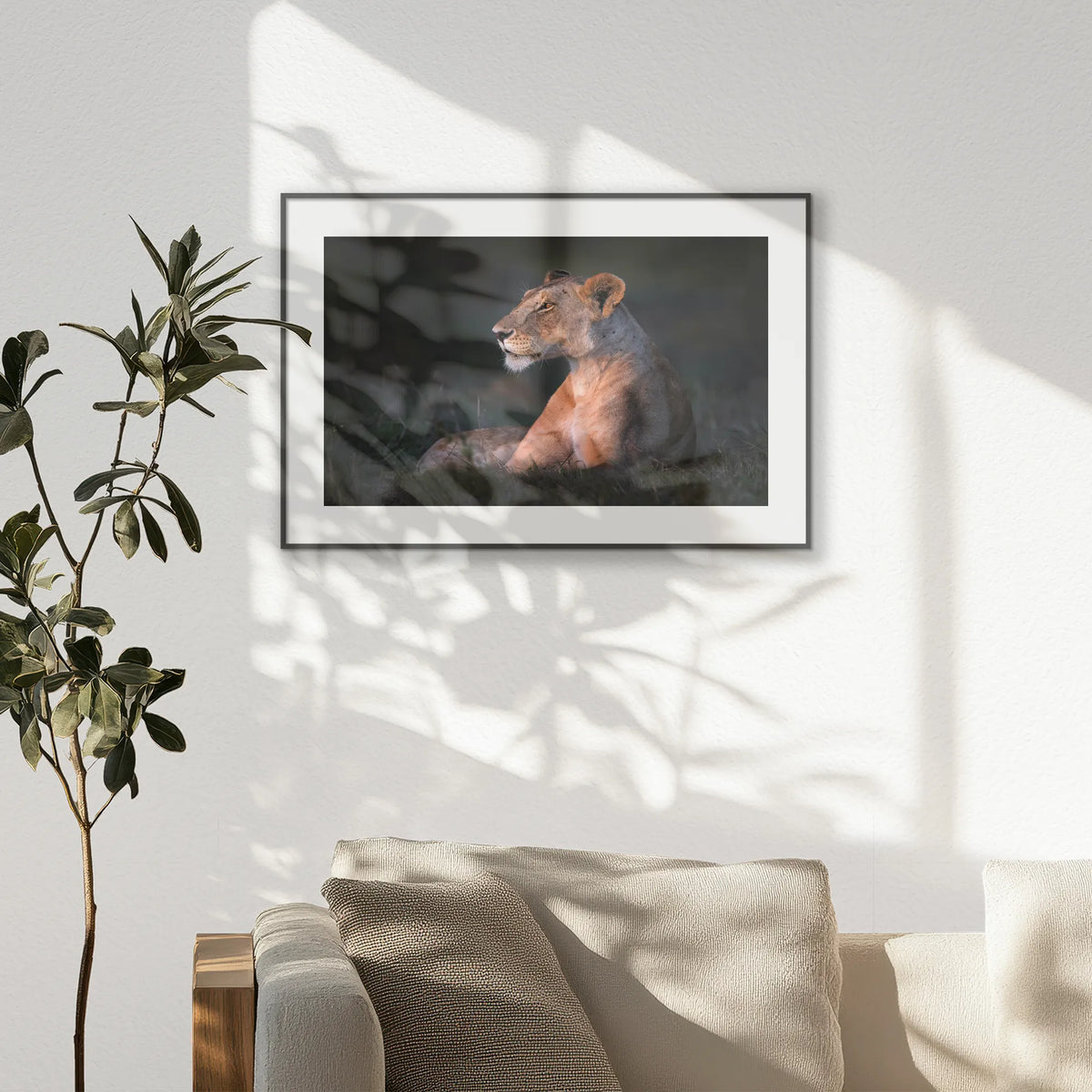 PBP093W062