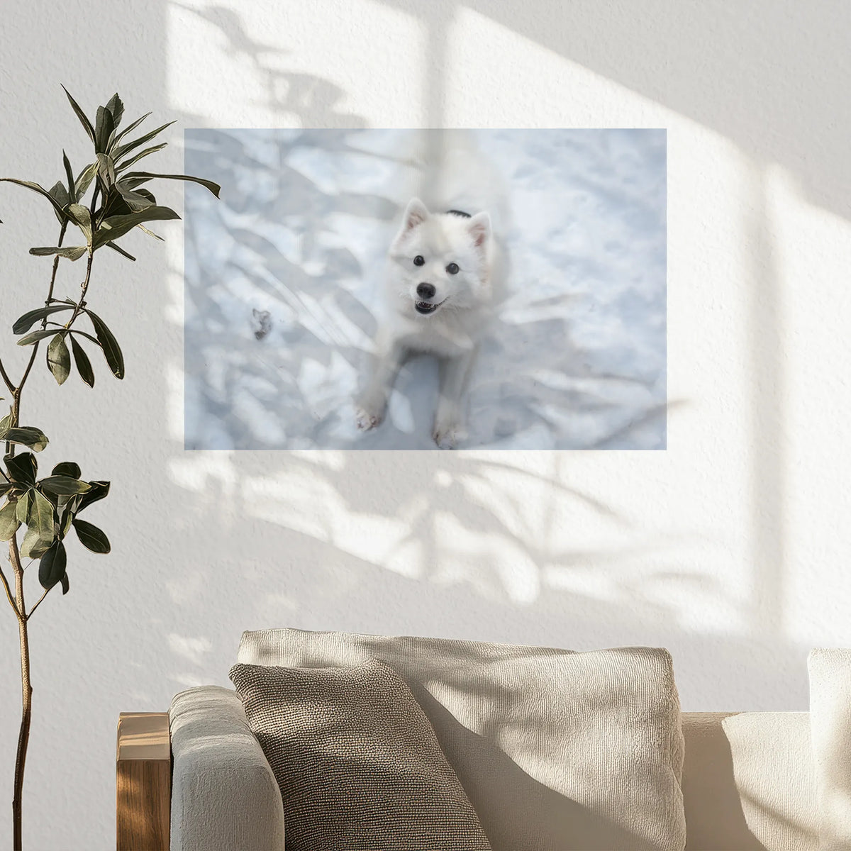PO-045W030