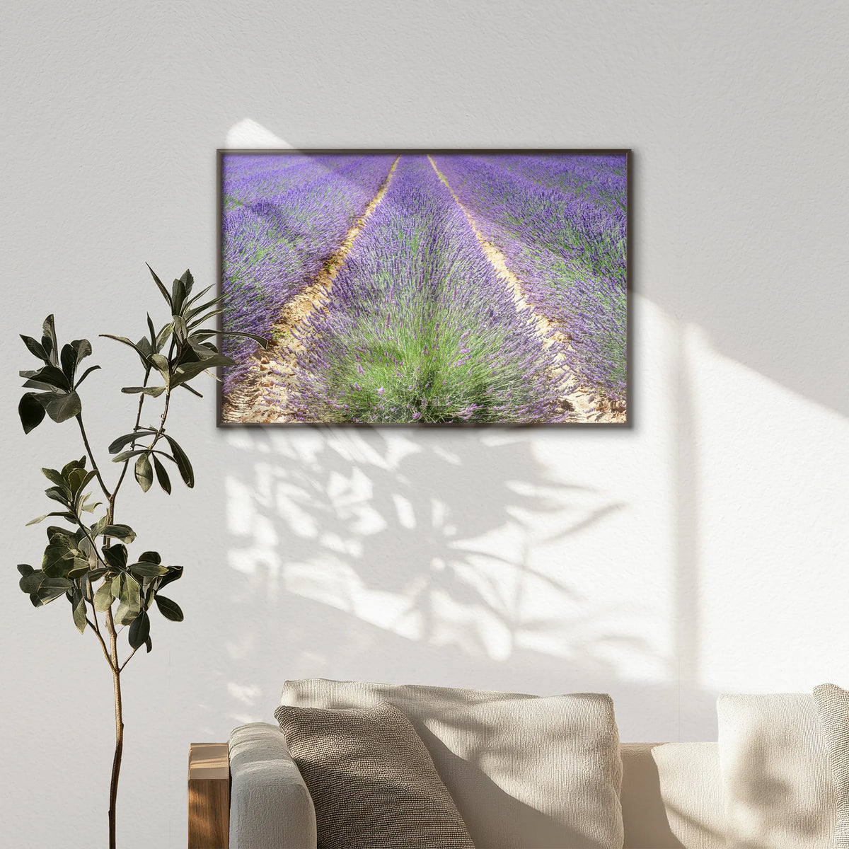 LWN120W080