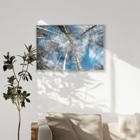 PS-120W080