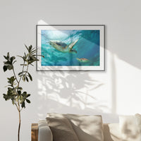 PBP120W080