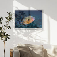 PW-093W062