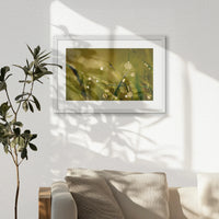 PWP060W040