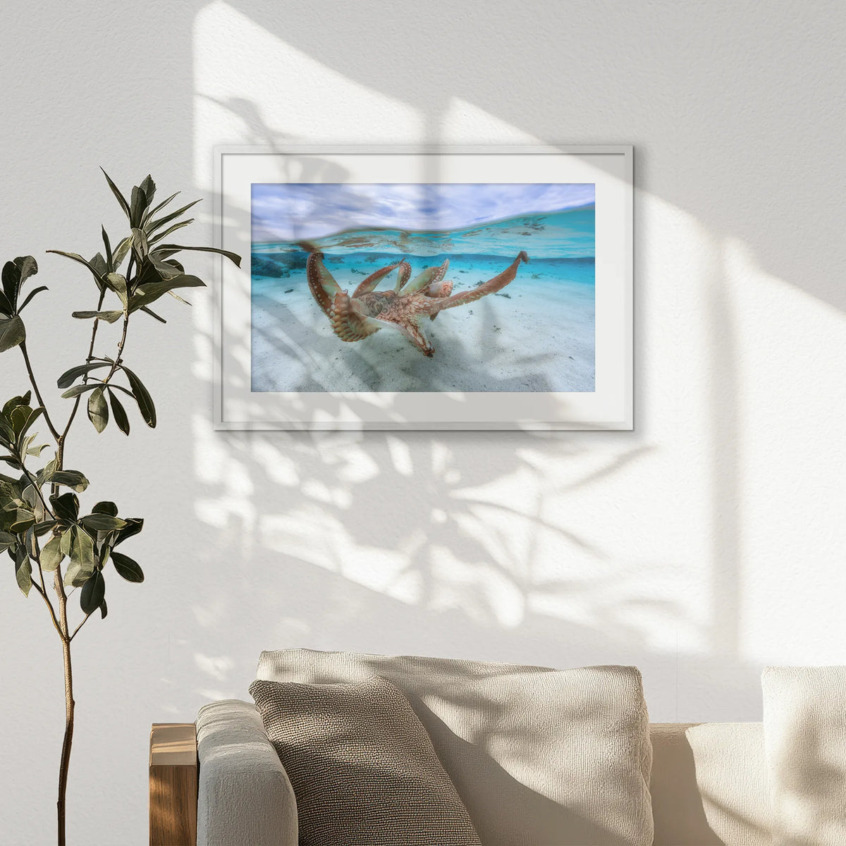 PWP093W062