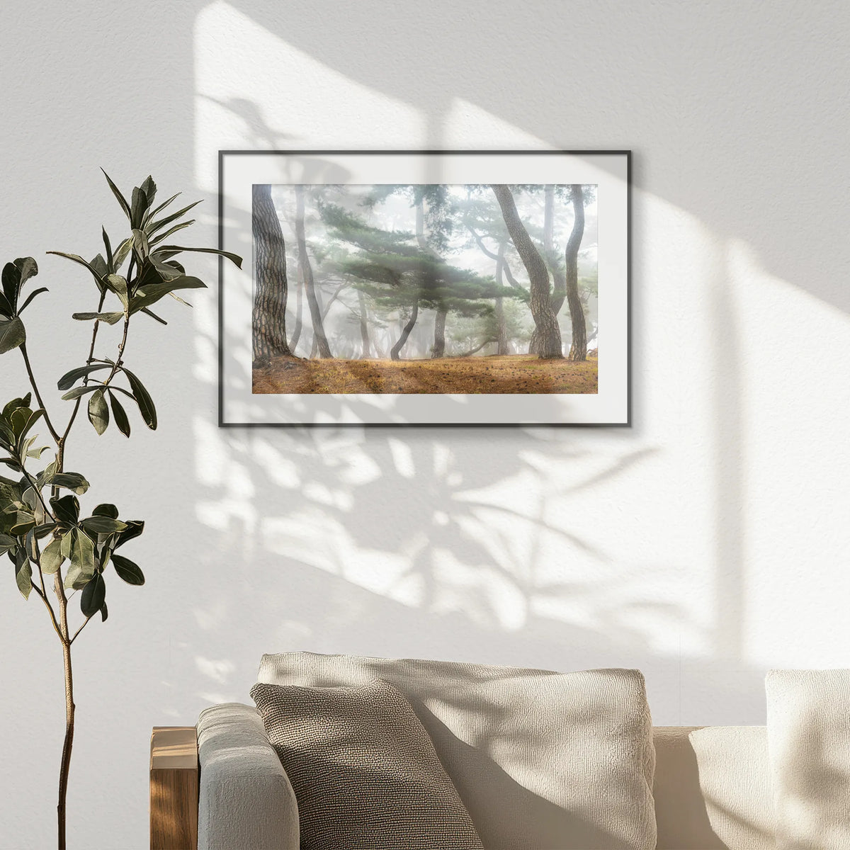 PBP093W062