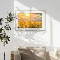 PNP093W062