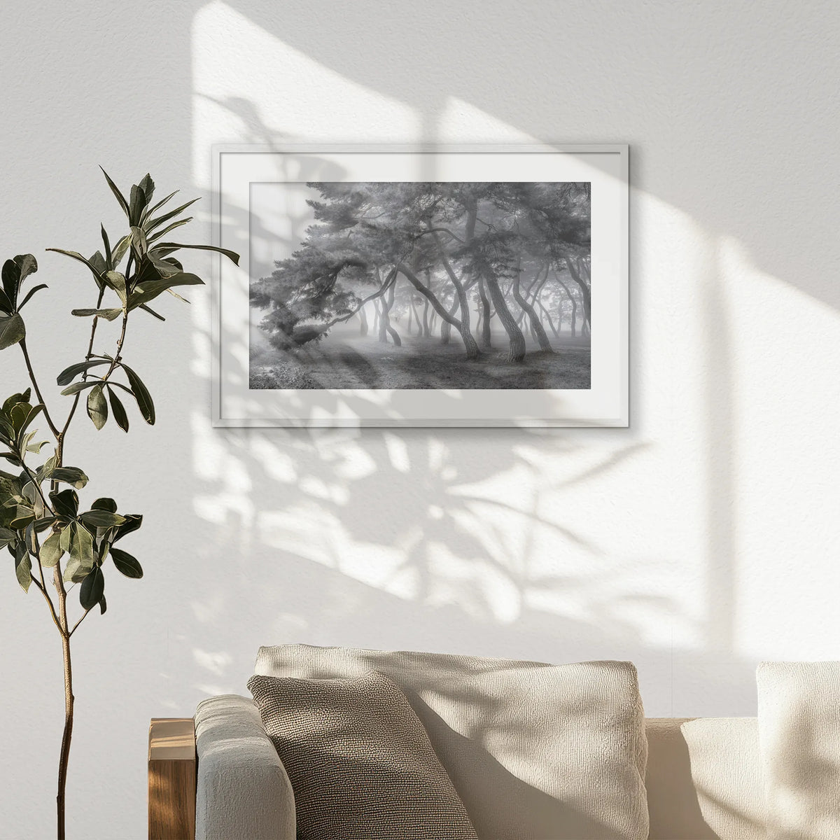 PWP093W062