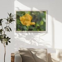 PN-060W040