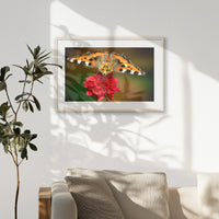 PNP093W062