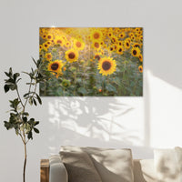 AL-120W080