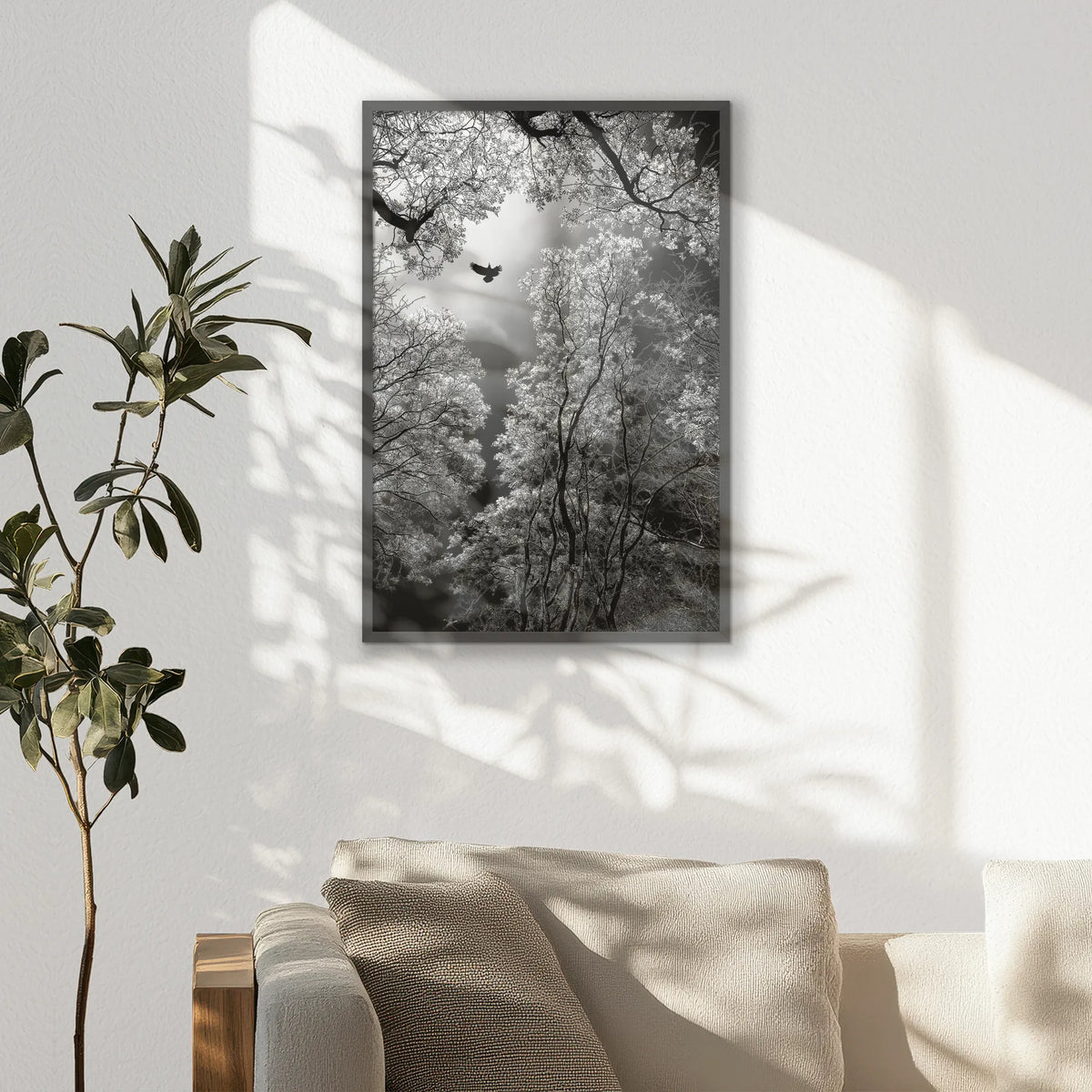 PK-062W093