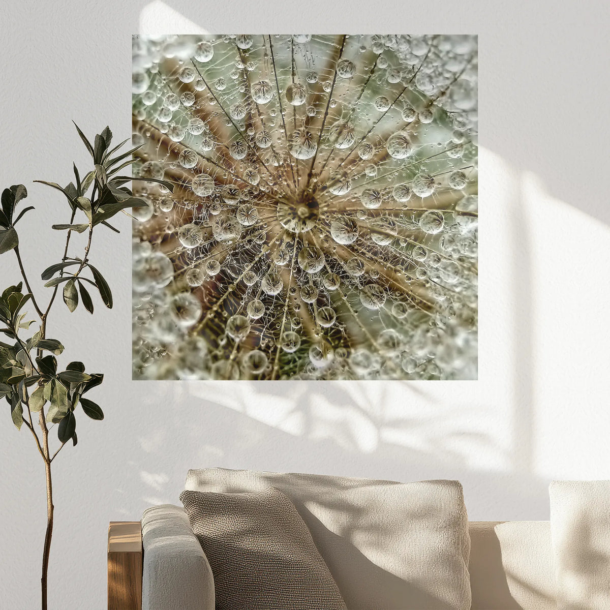 PO-080W080