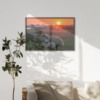 LWN120W080