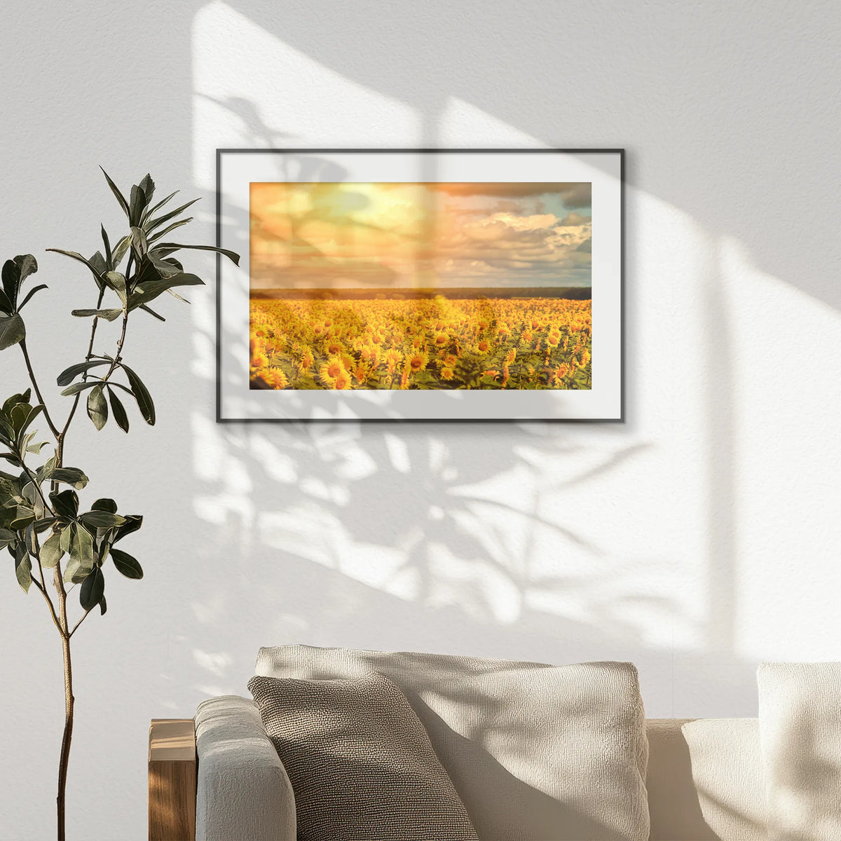 PBP093W062