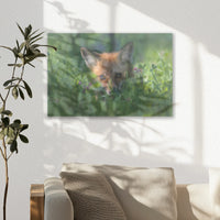 AL-045W030