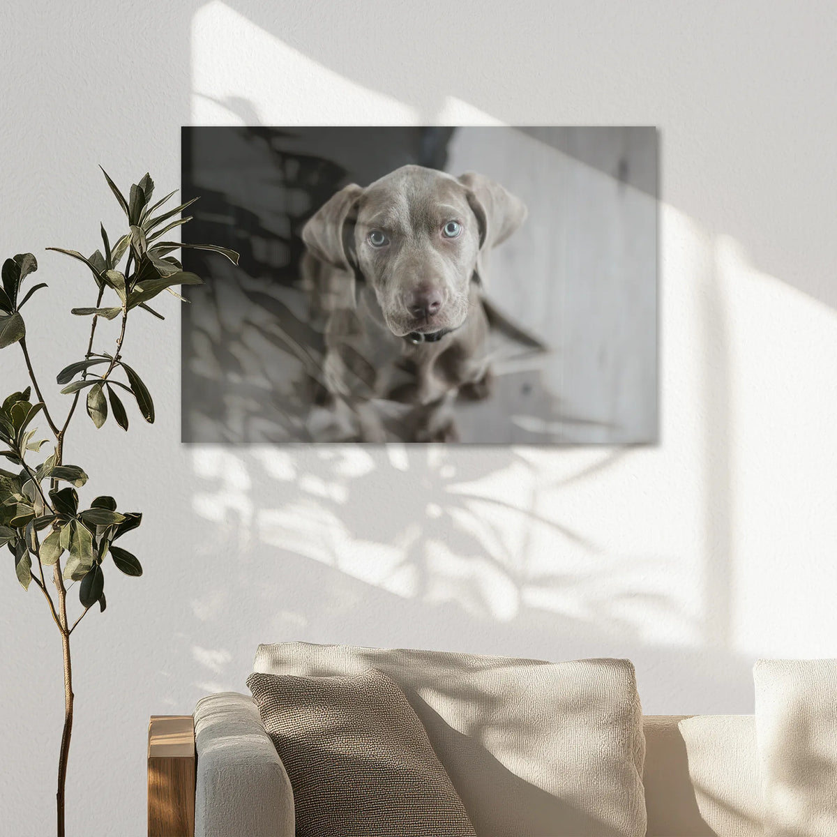 AC-075W050