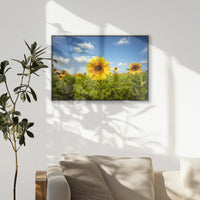 PB-093W062