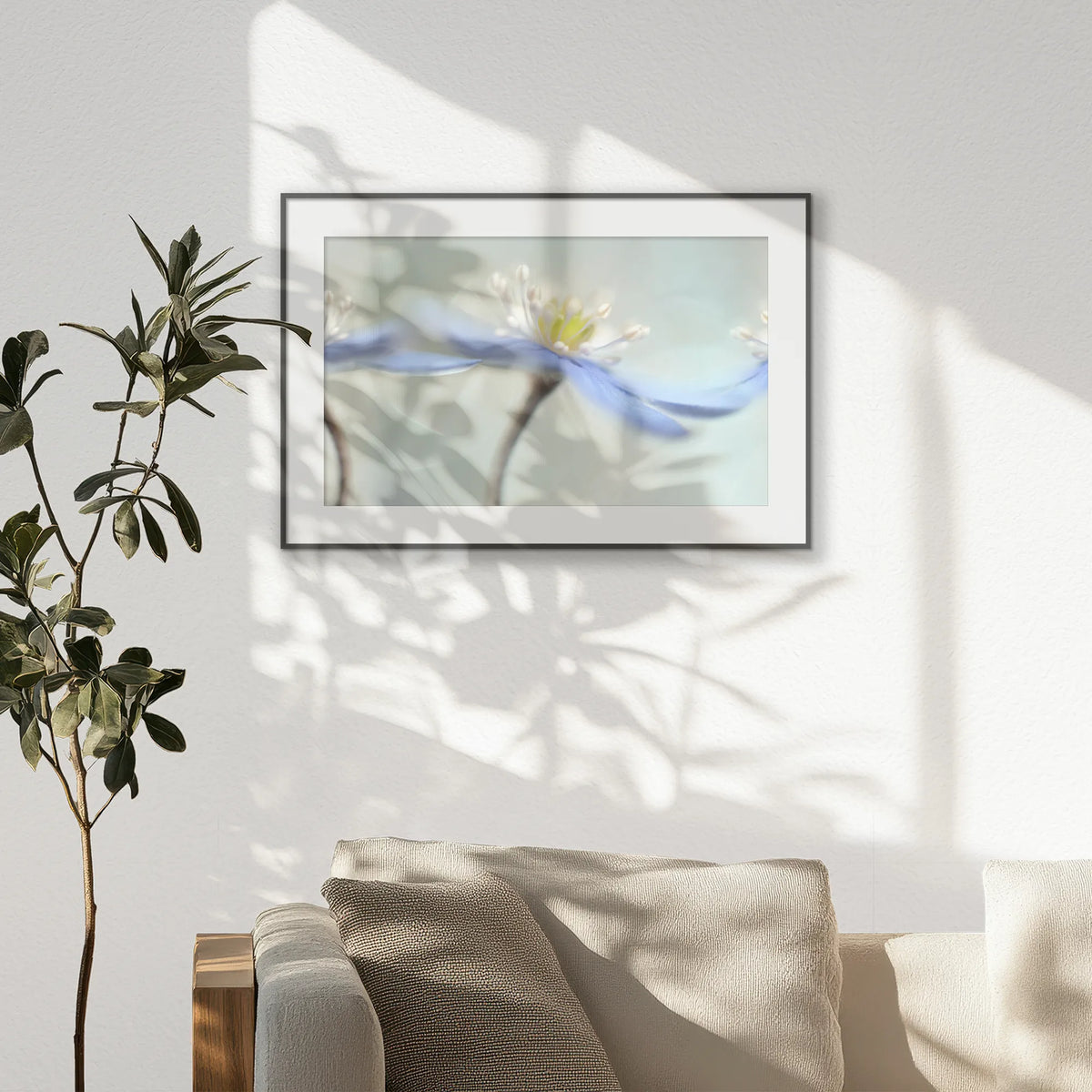 PBP093W062