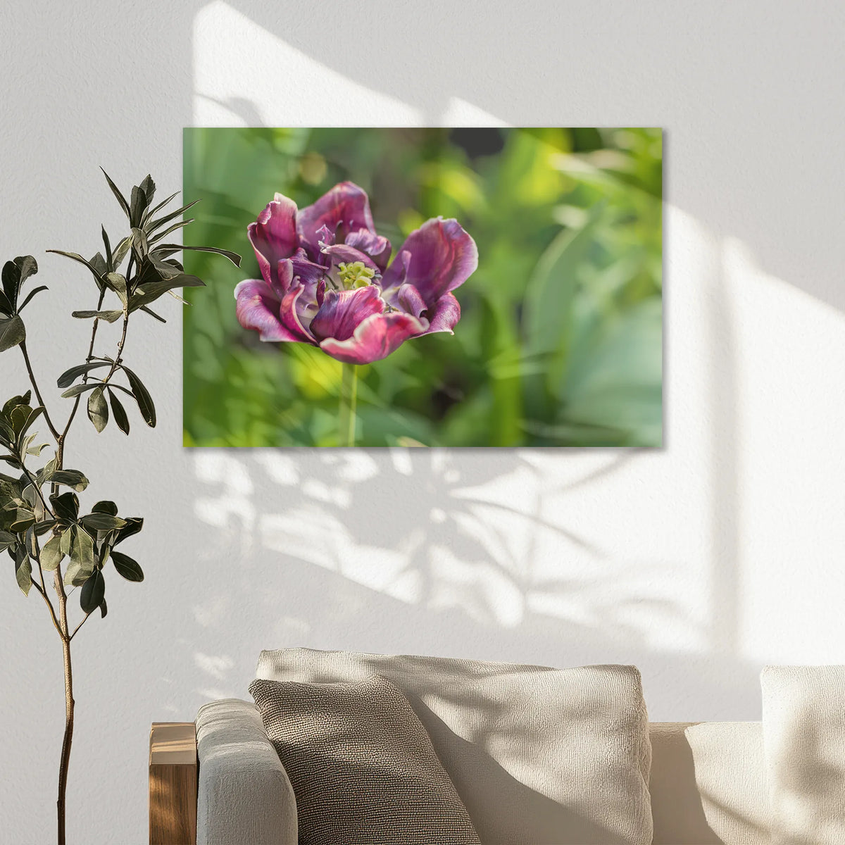 AC-075W050