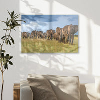 AL-030W020