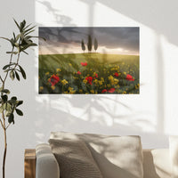 PO-030W020