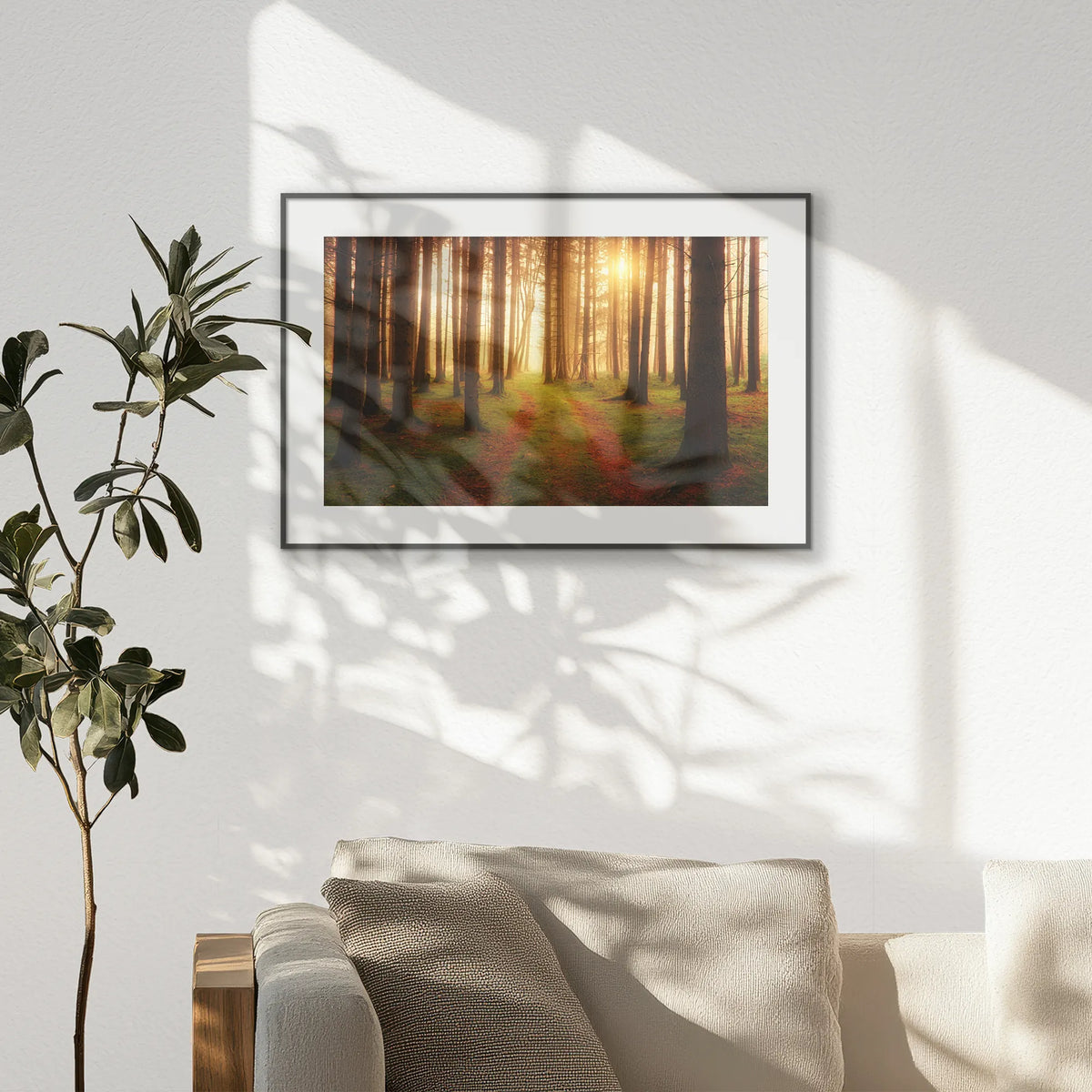 PBP093W062